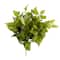 12 Pack: Pothos Bush by Ashland® Real Touch™